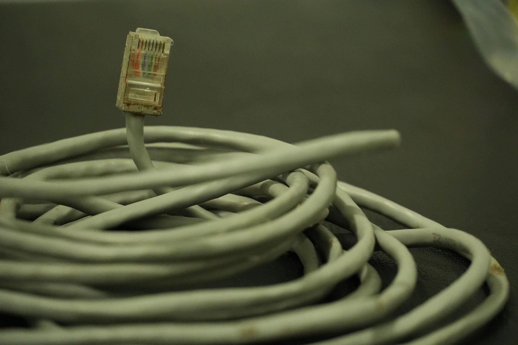 Ethernet cable representing fiber internet infrastructure