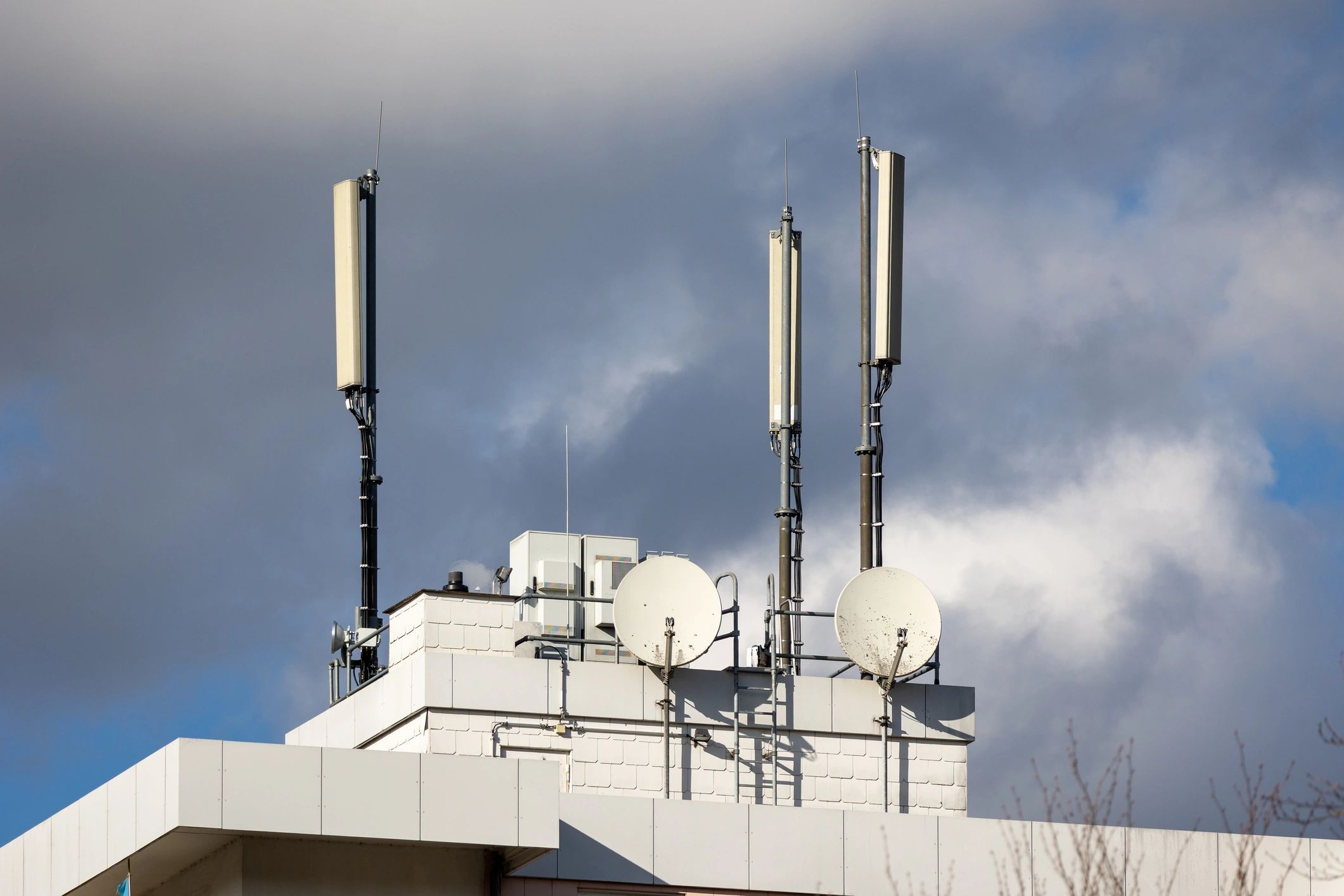Network infrastructure serving business areas